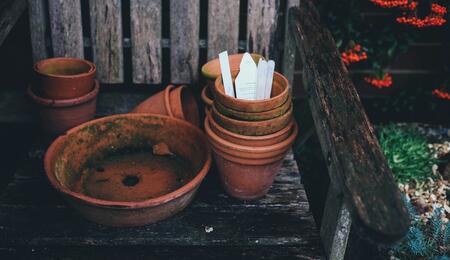 When it comes to growing plants indoors, there is a wide selection of substrate media to choose from. This guide compares some of the most popular options 