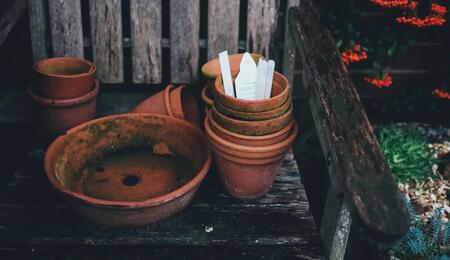 Beim CannaIndoor-Anbau gibt es eine große Auswahl an Substratmedien.