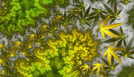 ¿Por qué las hojas de la marihuana se ponen amarillas?