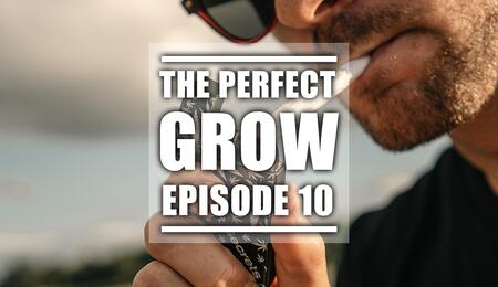 Hard Work Pays Off | The Perfect Grow | EP10