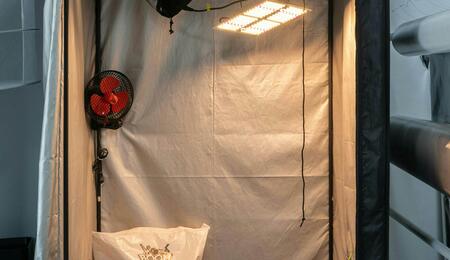 Even when cultivating indoors, as temperatures drop, it's important to monitor your Grow Room to ensure your plants remain healthy and content.