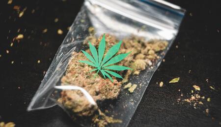 it's important to learn how to differentiate between high-grade "dank," mid-grade marijuana, and low-quality "bog weed."