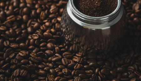 Used coffee grounds can be applied directly to the soil, around the base of the plant, or mixed into the soil for gradual release of nutrients.