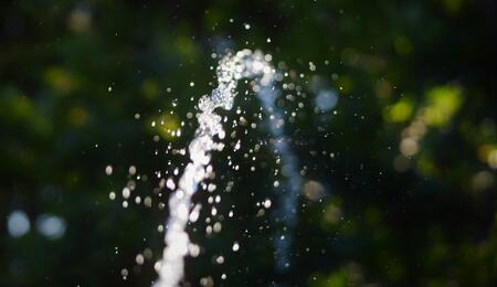 Watering is one of the most crucial aspects of growing cannabis, yet it is also one of the most frequent errors made by cultivators
