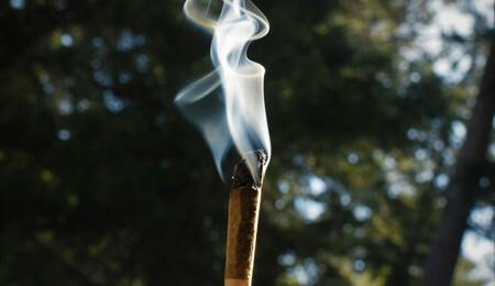  A new study suggests using a standard unit for cannabis, similarly to alcohol. This change could help reduce harm as legal cannabis becomes more common