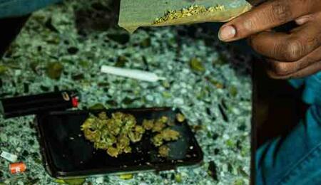 Regular cannabis use often leads to the development of “tolerance.” This means you need to consume more THC to achieve the same high