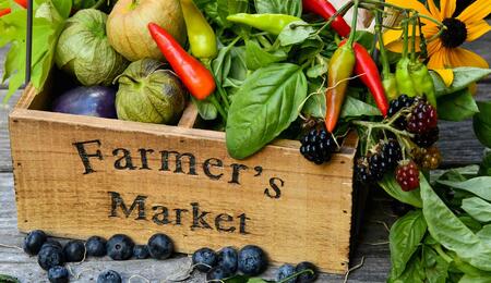 New York State is taking significant steps to revolutionize the cannabis industry by allowing farmers to sell legal marijuana at local farmers' markets.