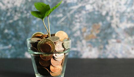  Reducing costs on electricity and nutrients can significantly improve your overall yield 
