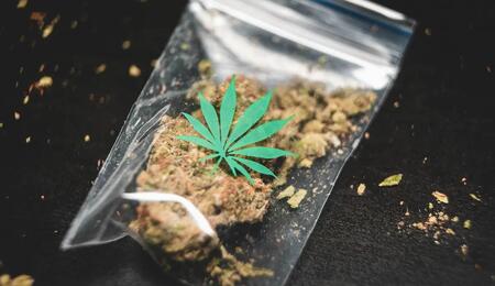 Woran erkennt man g Cannabis? Über Trichome, Terpene, das CanG und wie man gefährliche Streckmittel sicher entlarvt.