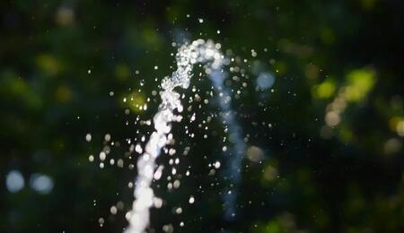 Vermeide Ernteausfälle! Erfahre alles über pH-Wert, Überwässerung und die ideale Wassertemperatur beim Cannabis-Anbau. 