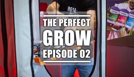 Episode 2 of The Perfect Grow: How to Set Up a Growing Tent for Weed