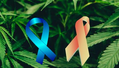ALS & MS - Was kann Cannabis bewirken? 