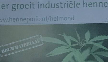Gespot in Helmond: Hennepkwekerij!