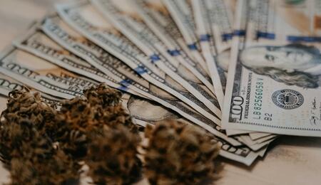 dólares y cogollos de marihuana