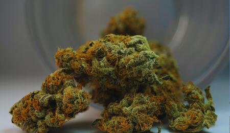 Marihuana