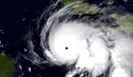 Destruction des plantations de cannabis en Jamaïque par l'ouragan Melissa 