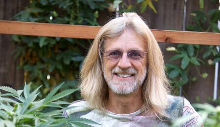 La fin de la phase végétative : une révolution dans la culture du cannabis