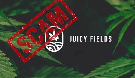 Juicy Fields : une arnaque à l’investissement dans le secteur du cannabis légal
