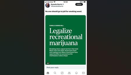 kamala harris cannabis