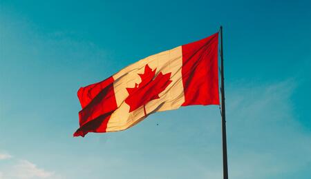 Mit über 62 % an Kanadas gesamten Cannabisexporten ist Deutschland kein bloßer Abnehmer mehr, sondern der Anker der Branche.