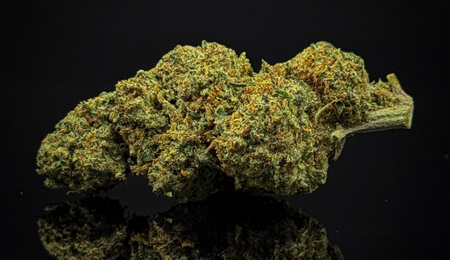 Tout savoir sur le CBC : cannabinoïde légal en France