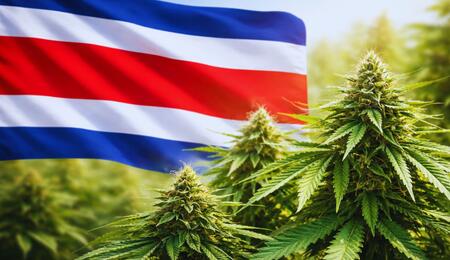 Kostaryka medyczna marihuana