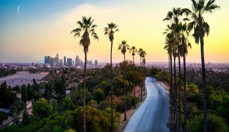 Planning a trip to the City of Angels? Check out trending cannabis consumption lounges, West Hollywood’s Emerald Village, and the latest rules for tourists in Los Angeles.