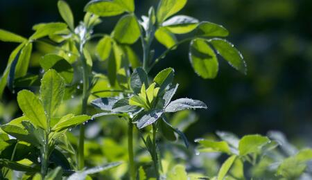 , héritage ancestral et avenir agricole