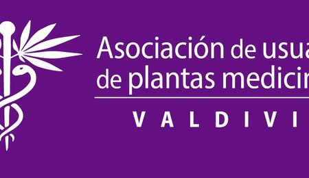 Primera Asociación Cannábica Medicinal del sur de Chile en Valdivia
