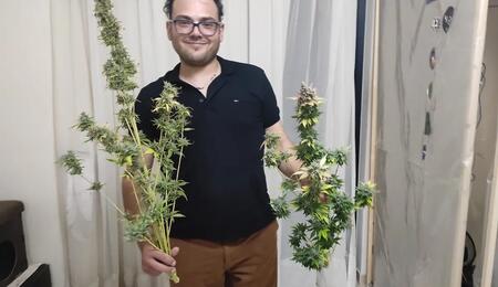 Young Italian shows his first crop of medical cannabis that he uses to treat phantom limb syndrome.