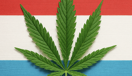 Luxemburgs Cannabisgesetz - Zwischen Reform und Realität