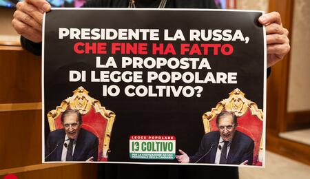 Diffida al Senato per il ddl IoColtivo: 54 mila firme sulla cannabis ignorate dal governo