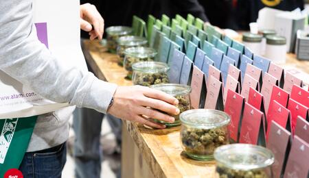 Svolta Cannabis Light: l’Art. 18 alla Consulta. Una luce per i negozi e la filiera