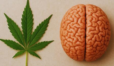 Marihuana i psychoza