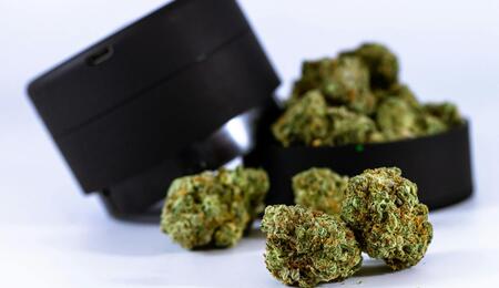 Marihuana