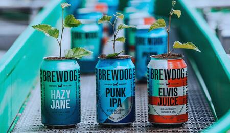 BrewDog
