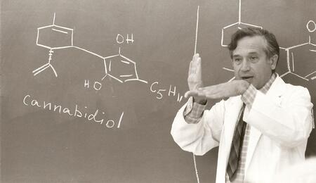 1964 : le Professeur Raphael Mechoulam découvre le THC