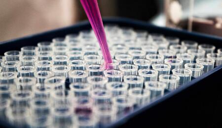 Meta-analysis examines thousands of cannabis cancer studies