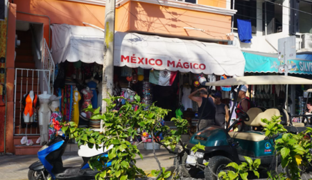 Messico, edibili, proibizione, permesso