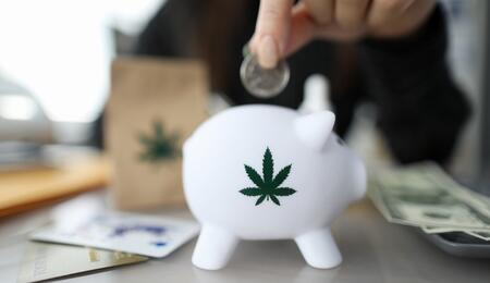 Cannabis investimenti