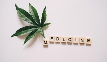 Morocco has recently taken a significant step in the realm of medical cannabis by authorizing three new cannabis-based medicines