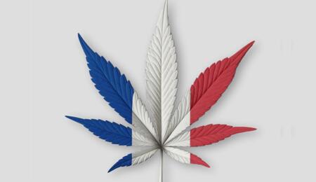 NORML France propose de légaliser le cannabis en 2025