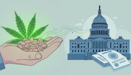 Nasiona konopi pod lupą rządu USA