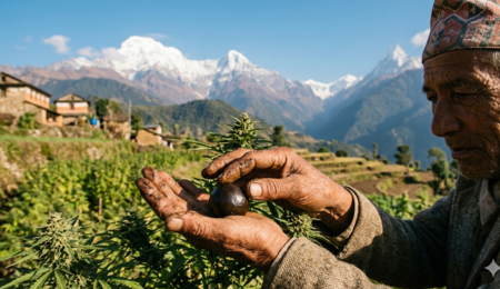 Nepal, legge, tadizione