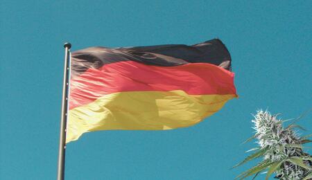 Niemcy: częściowa legalizacja coraz bliżej