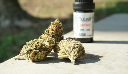 Terpeny v konopí jsou klíče k endokanabinoidnímu systému