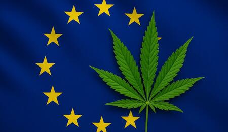 Nowe regulacje CBD w Europie?