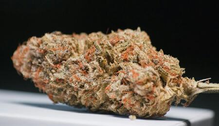Marihuana