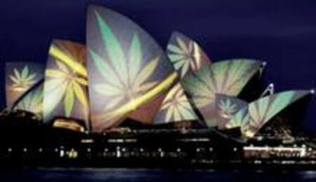 Opera House Stunt Lands Campaigners in Court