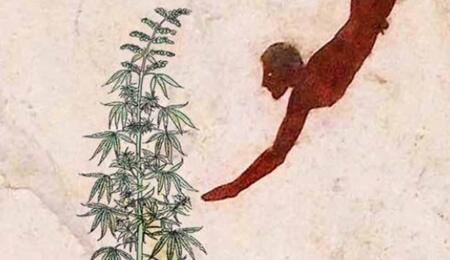  Les origines de la prohibition du cannabis